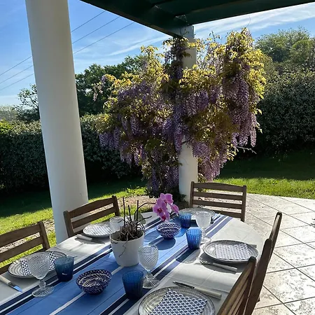 Villa A 5Min De Bayonne Avec Piscine Chauffe Et Salle De Sport Villa
